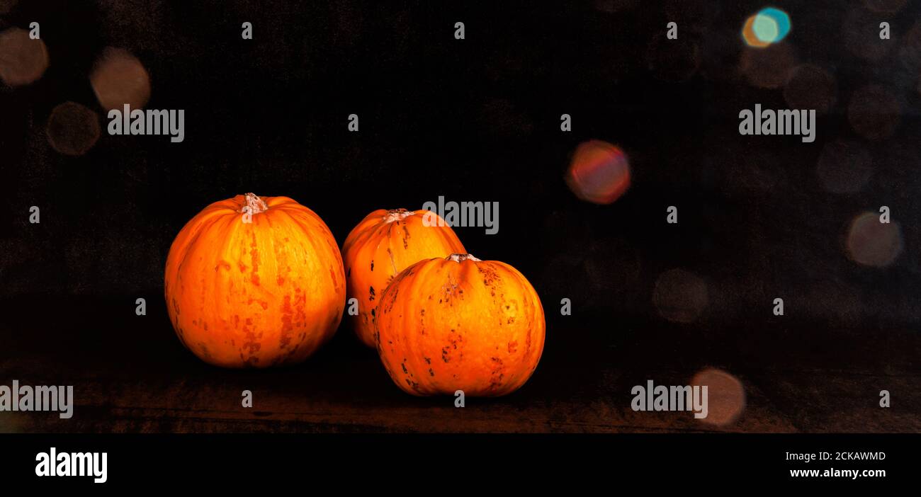Zucche autunnali arancioni su sfondo sgranato scuro con lente svasatura Foto Stock