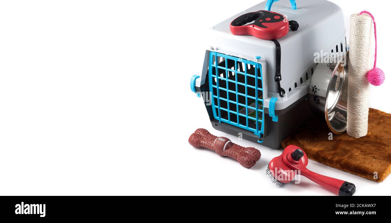 Ciotola con pettini e spazzole per la delicatezza del guinzaglio di alimentazione cani isolati su sfondo bianco Foto Stock