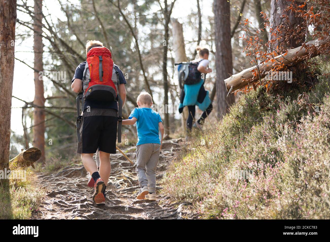 Vista posteriore di irriconoscibile giovane famiglia attiva escursioni insieme sulla pista foresta di montagna in autunno. I genitori indossano zaini e giocattoli per bambini. Foto Stock