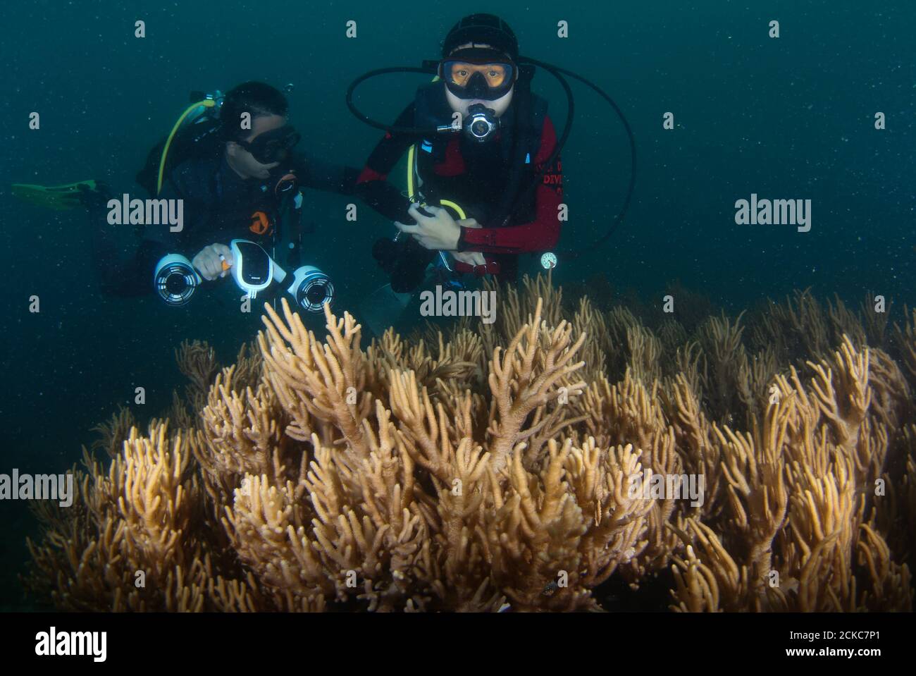 (200916) -- SANYA, 16 settembre 2020 (Xinhua) -- Fang Jianze (R) si tuffa con il suo allenatore Luo min vicino all'isola di Wuzhizhou nella provincia di Hainan della Cina meridionale, 30 agosto 2020. Fang Jianze, di 22 anni, è nato con EDMD (distrofia muscolare di Emery-Dreifuss), una rara malattia muscolare che lentamente causa debolezza alle spalle, alle braccia superiori e ai vitelli. La vita confinata a una sedia a rotelle non è quello che vuole. Vuole rompere i confini e raggiungere lontano. Ha provato il paracadutismo lo scorso giugno e ha ottenuto la certificazione di Associazione Scuba per disabili questo agosto. Ha realizzato il suo sogno di immersione nell'isola di Wuzhizhou, un reso di immersione superiore Foto Stock