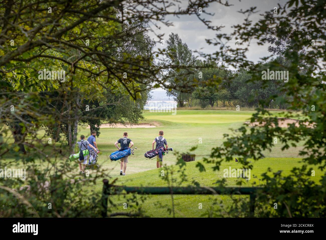 Uomini che giocano a golf al Warley Park Golf Club, Brentwood, Essex Foto Stock