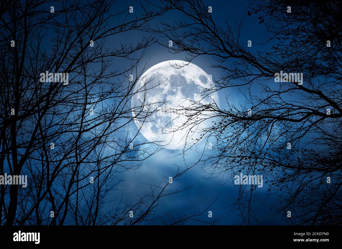 La silhouette di un rametto nudo spooky halloween albero contro un cielo notturno blu d'inverno con una luna piena e luminosa e nuvole Foto Stock