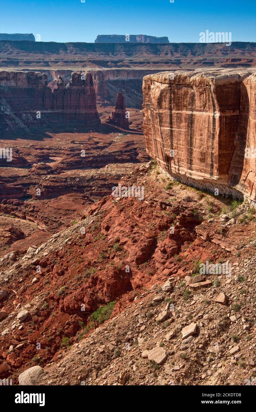 Scogliere sul bacino di Soda Springs, da White Rim Road, Island in the Sky, Canyonlands National Park, Utah, USA Foto Stock