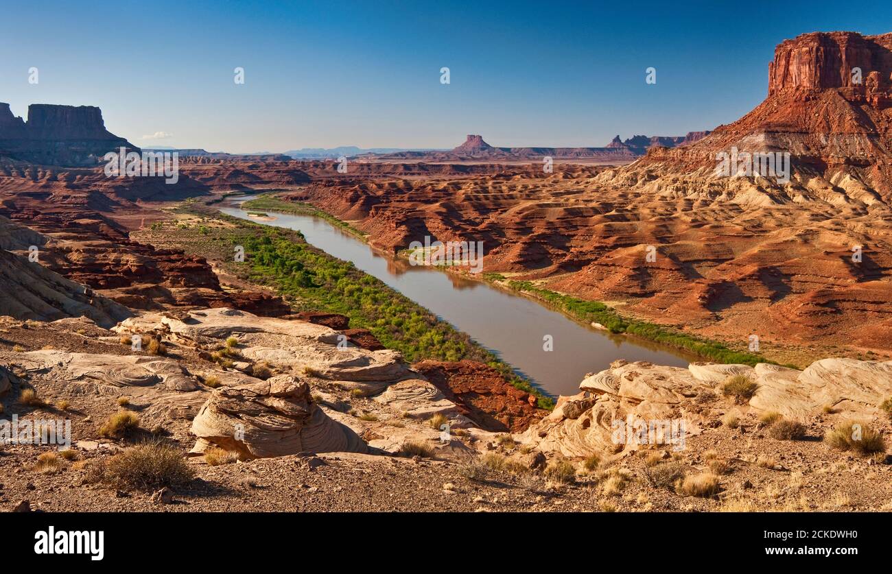 Green River nell'area di Potato Bottom, vista da Fort Bottom Trail, zona di White Rim Road, Island in the Sky, Canyonlands National Park, Utah, USA Foto Stock
