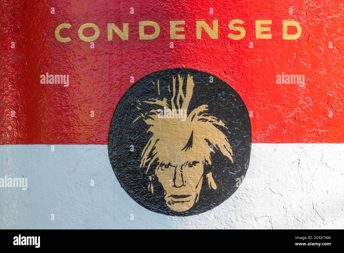 Ritratto dell'artista Andy Warhol su una grande lattina di zuppa Campbells fuori dal museo. Medzilaborce, Slovacchia, Europa. Foto Stock