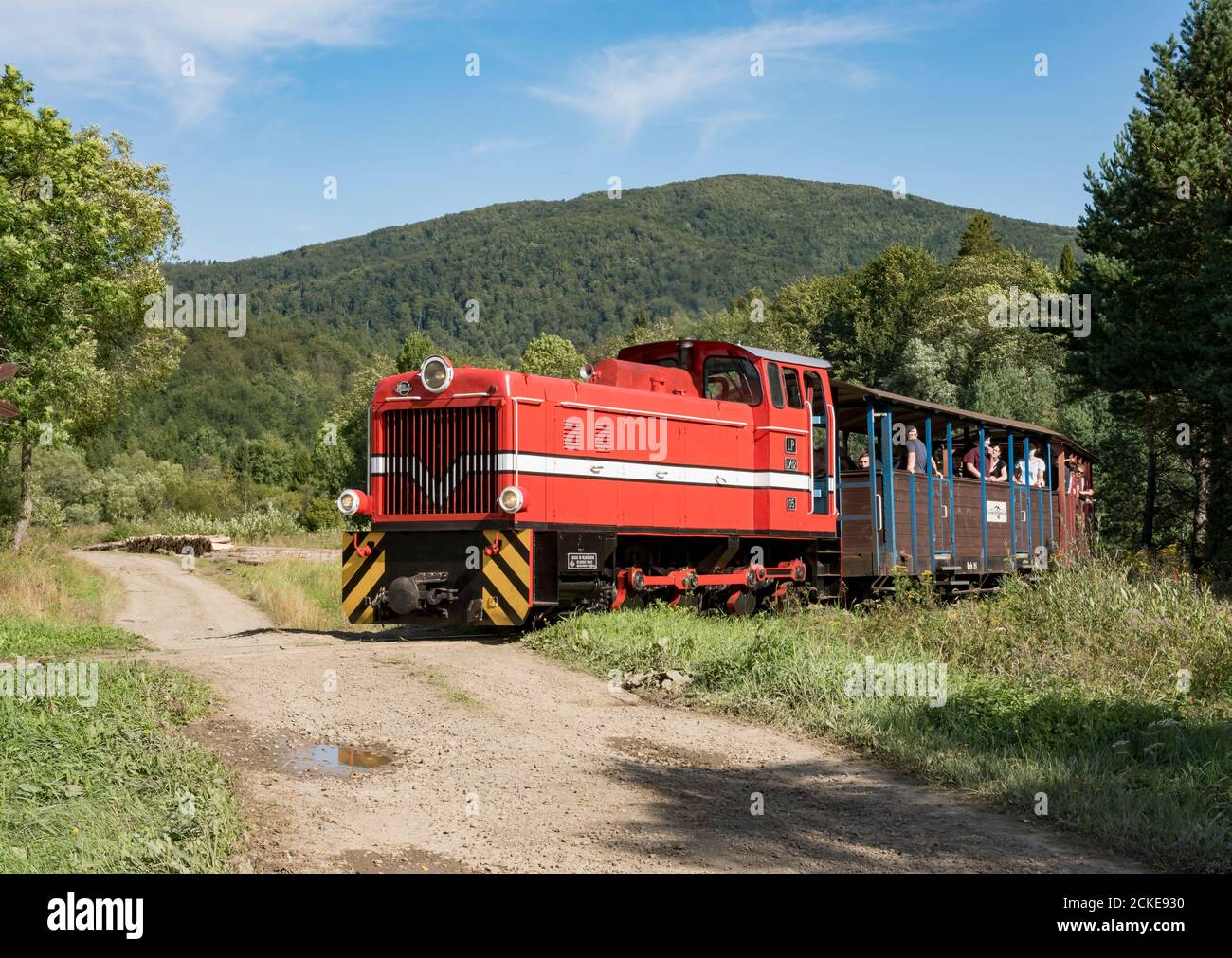 Bieszczady Forest Railway - Romeno Lyd2 locomotiva diesel a scartamento ridotto con carrozze turistiche sui monti Bieszczady. Polonia, Europa. Foto Stock