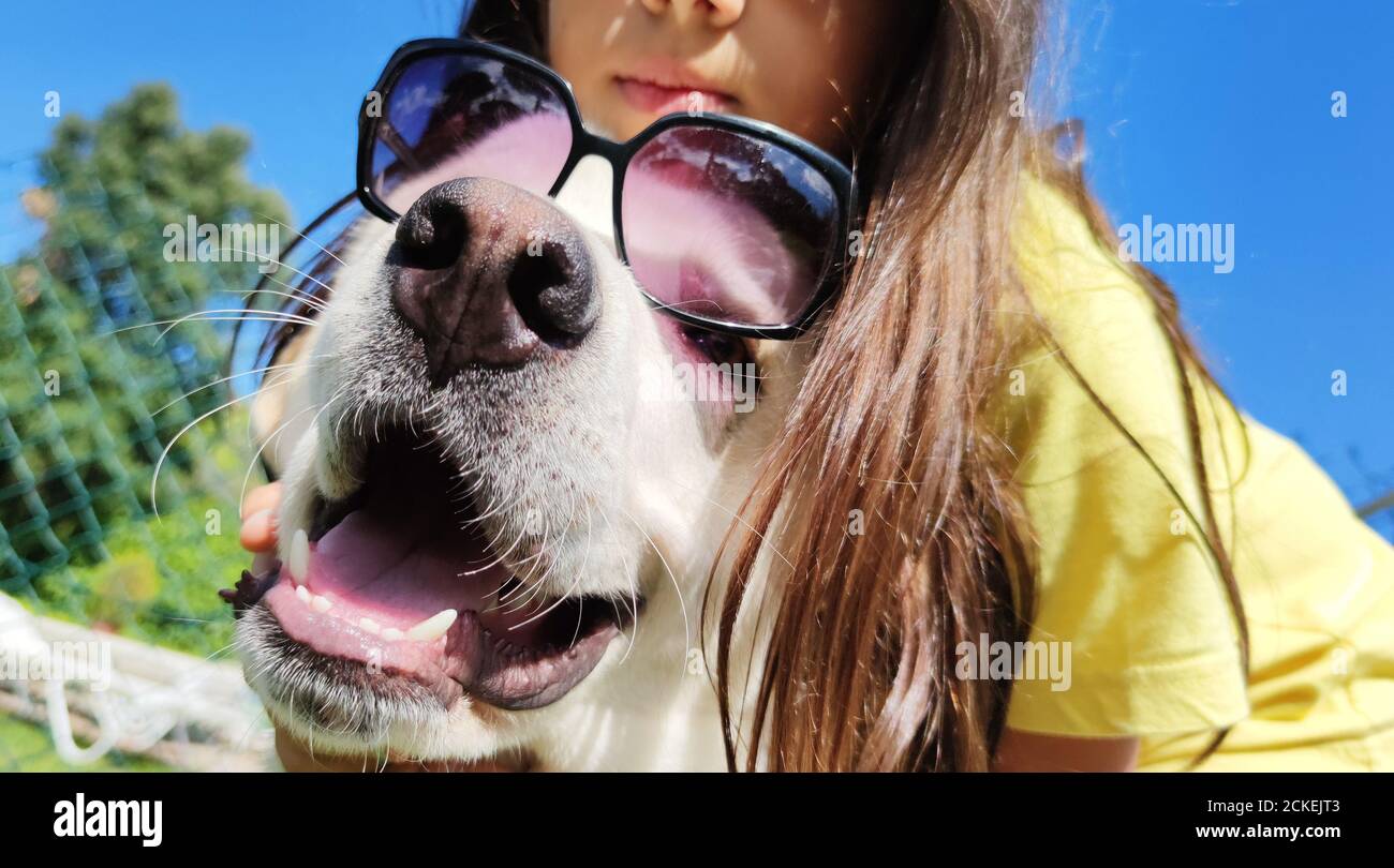 cane con occhiali da sole divertenti e la sua ragazza Foto Stock