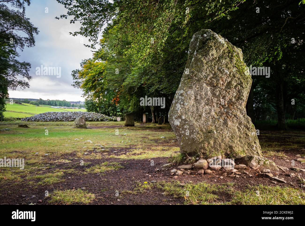 Clava Cairns, un complesso sepolcrale preistorico dell'età del bronzo di pietre in piedi, cairns anello, tombe di passaggio e cordolo cairns, vicino Inverness, Scozia, Regno Unito Foto Stock
