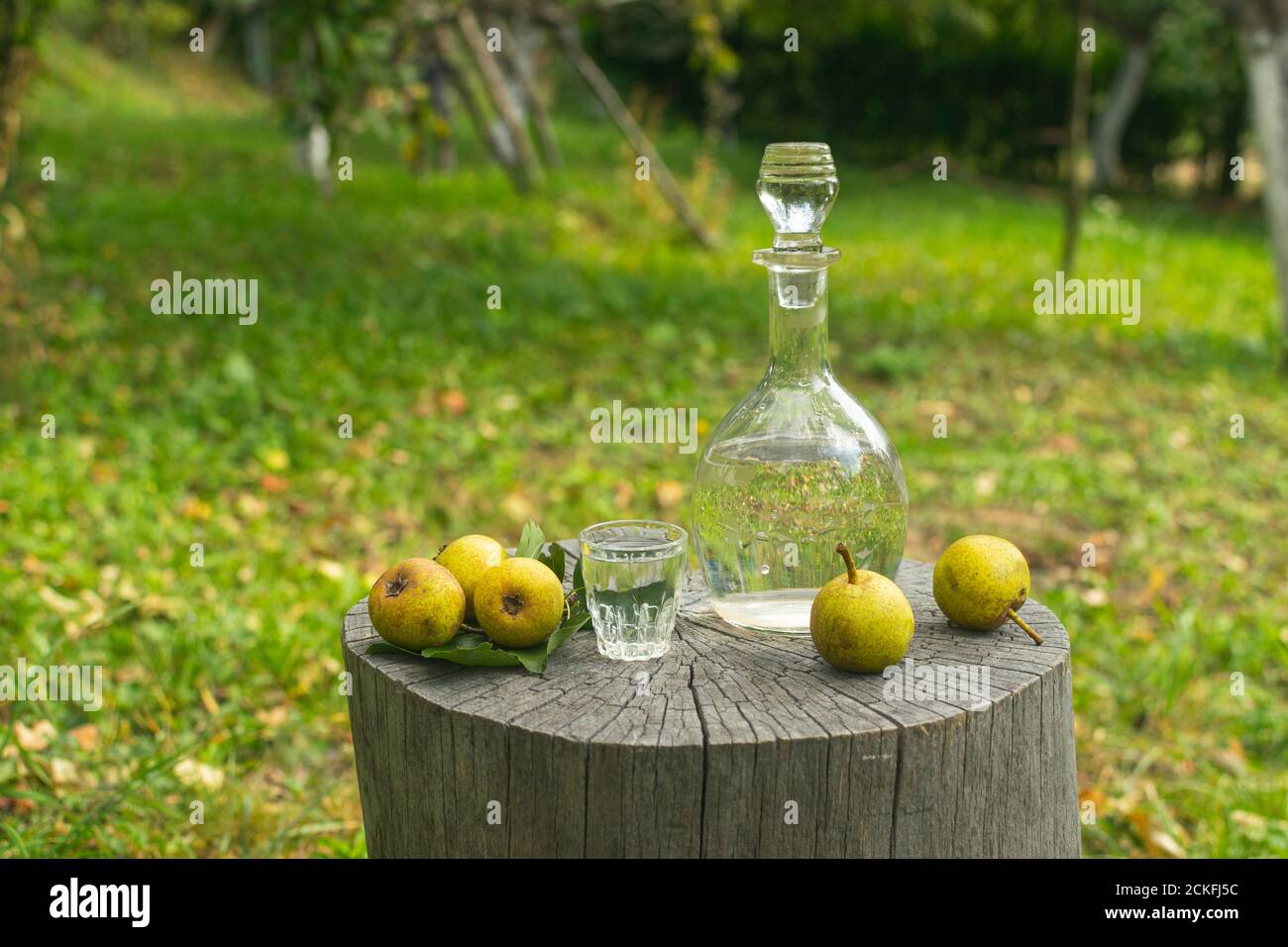 Bottiglia e bicchiere di pera rakia chiamato 'Viljamovka' in campagna dintorni Foto Stock