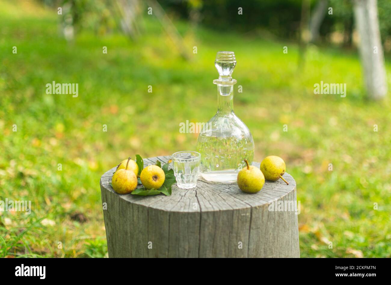 Bottiglia e bicchiere di pera rakia chiamato 'Viljamovka' in campagna dintorni Foto Stock