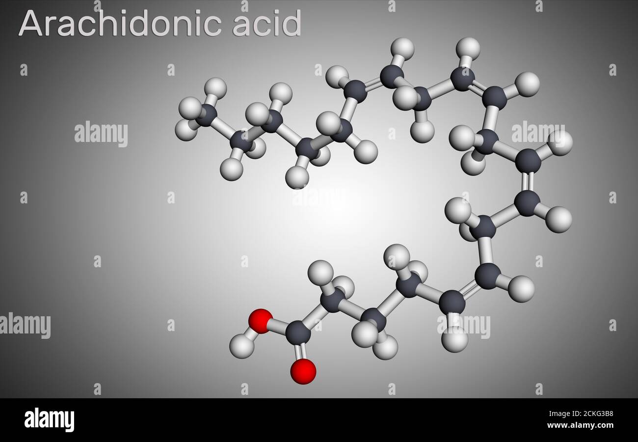 Acido arachidonico, AA, molecola ARA. Si tratta di acido grasso insaturo  omega-6, è precursore nella biosintesi di prostaglandine, trombossani,  leucotrieni Foto stock - Alamy