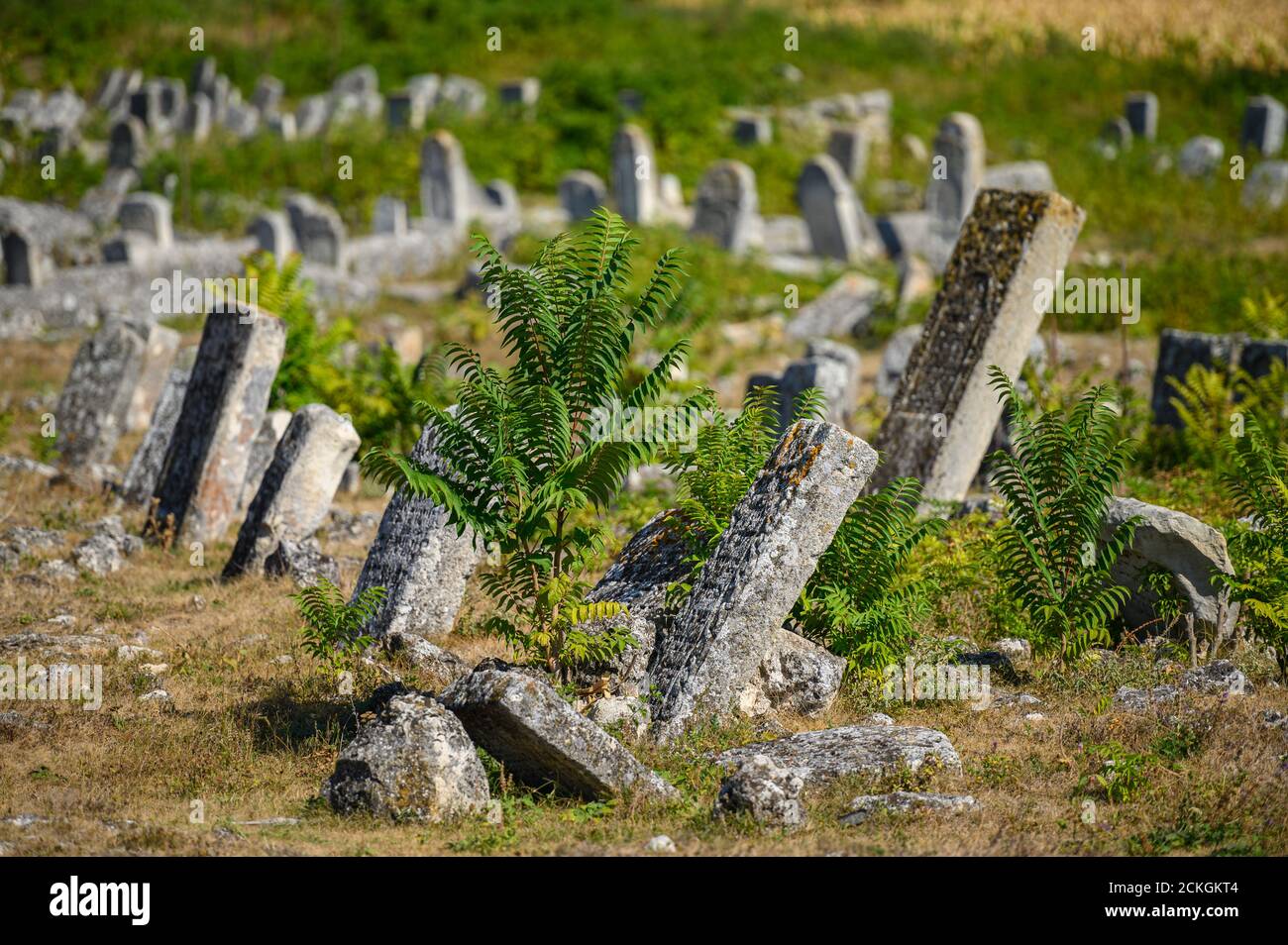 Antiche lapidi presso l'antico cimitero ebraico di Vadul liu Rascov in Moldavia Foto Stock