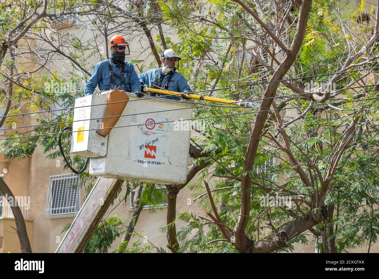 I lavoratori delle aziende elettriche utilizzano utensili elettrici e un sollevatore idraulico per guadagnare il vantaggio di altezza mentre taglia i rami da un albero che potrebbe toccare l'alta tensione Foto Stock