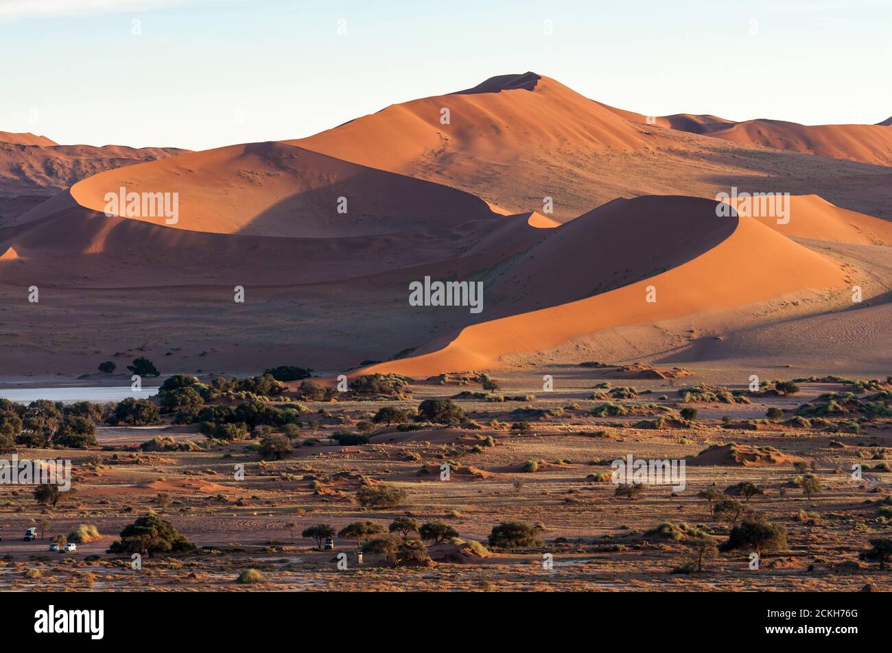 Dune all'alba nel deserto del Namib in Namibia Foto Stock