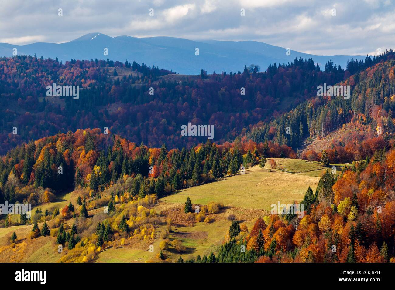 paesaggio montano in autunno. splendido paesaggio con colline boscose in colori autunnali. paesaggio rurale carpatico. giorno di sole con Foto Stock