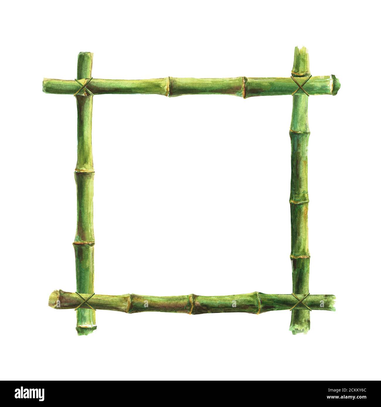 Steli di bambù verde bastoni telaio isolato su sfondo bianco. Illustrazione disegnata a mano con acquerello con spazio per testo, immagine, bordo, modello, foto f Foto Stock