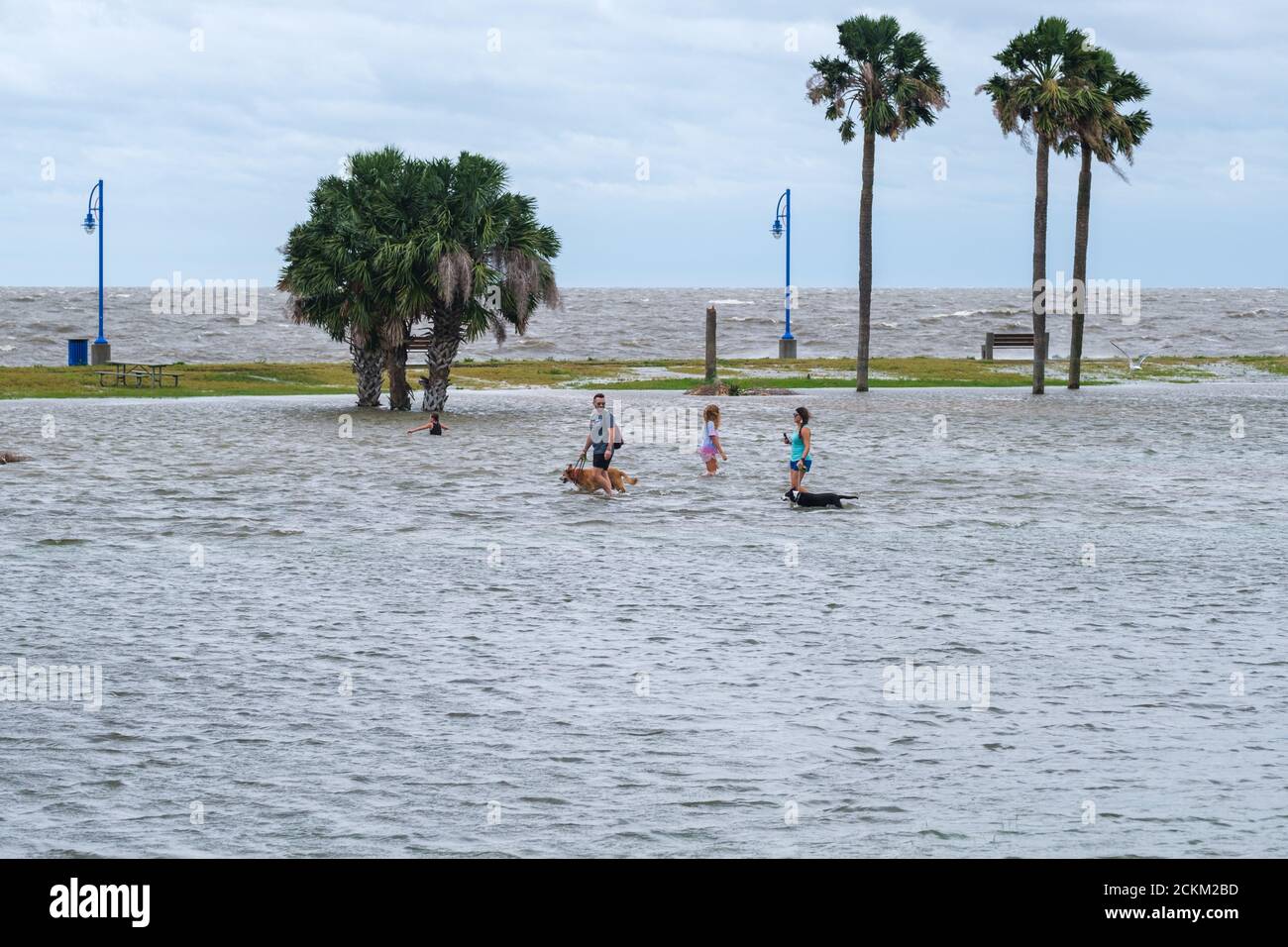 New Orleans, Louisiana/USA - 9/15/2020: Donna, uomo e ragazza che guastano attraverso il Lakeshore Drive allagato con cani durante l'uragano Sally tempesta di picco a Lak Foto Stock