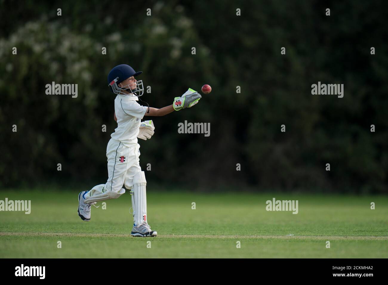 Giovane ragazzo wicket mantenere Foto Stock
