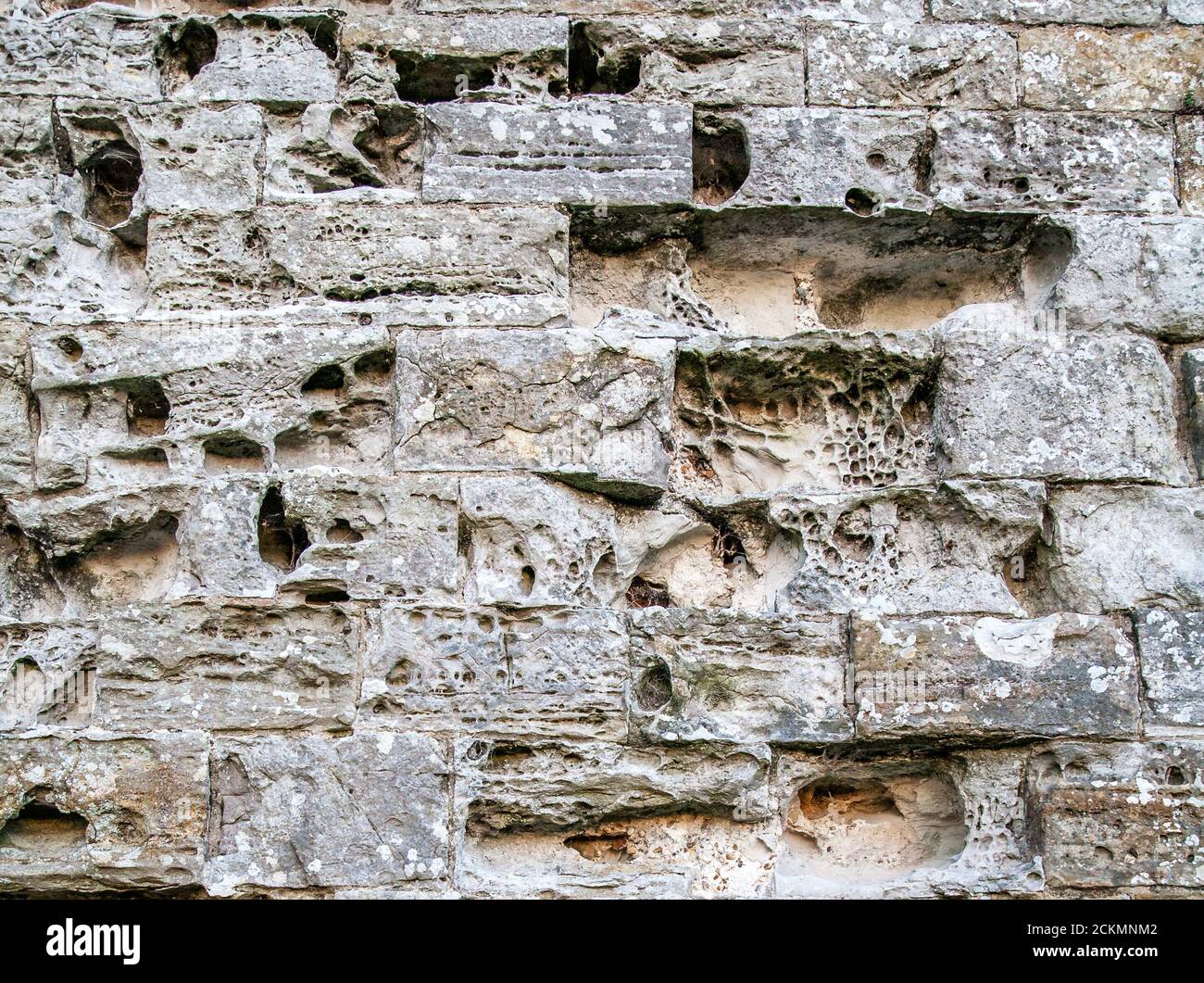 Forte intemperie vescicolari di pietra nelle mura del Castello di Camber nel Sussex orientale costruito in Tudor Times Foto Stock