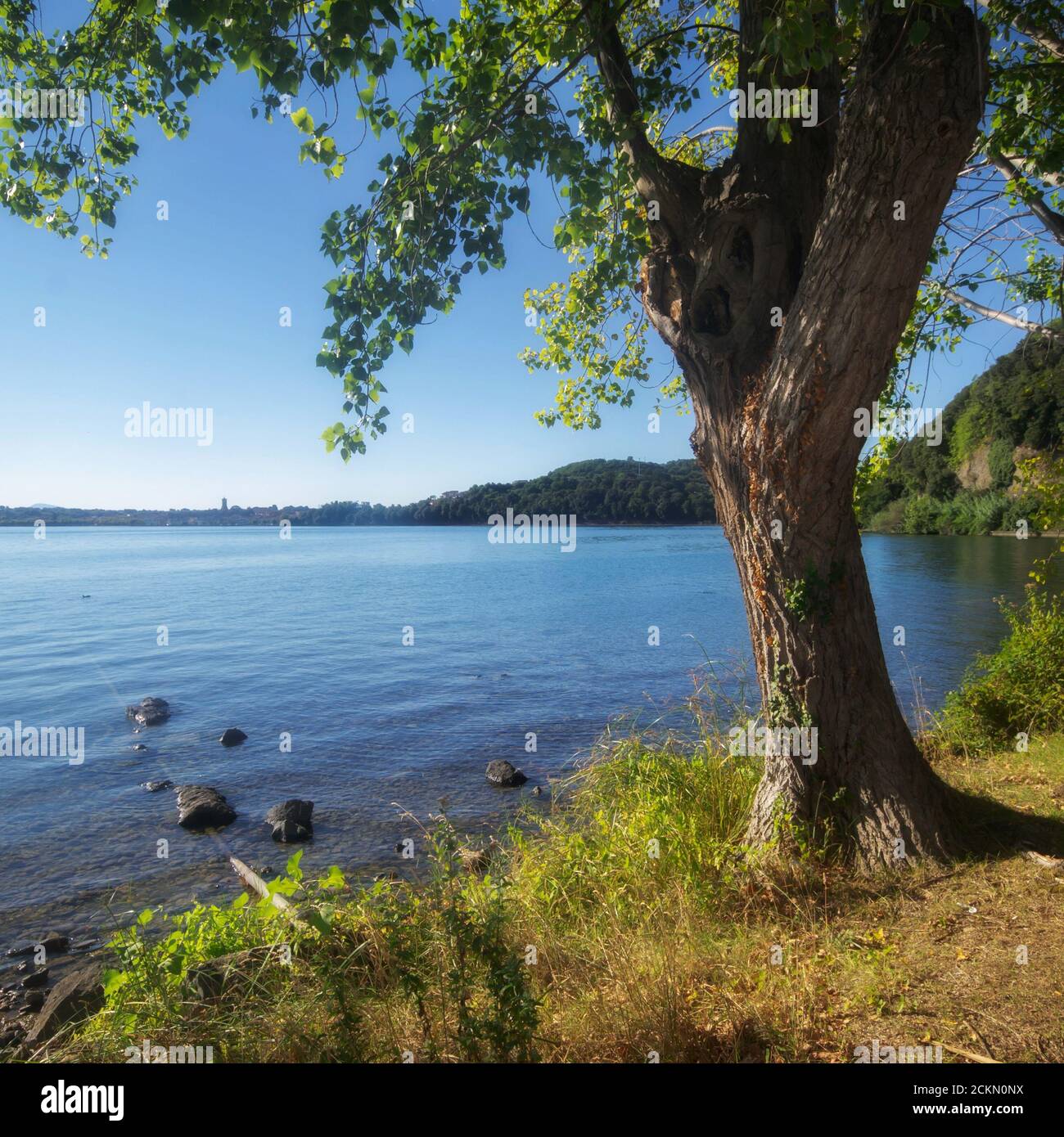 Vista sul lago di Bolsena vicino a Capodimonte con la sua riva ricca In vegetazione e Marta città sullo sfondo Foto Stock