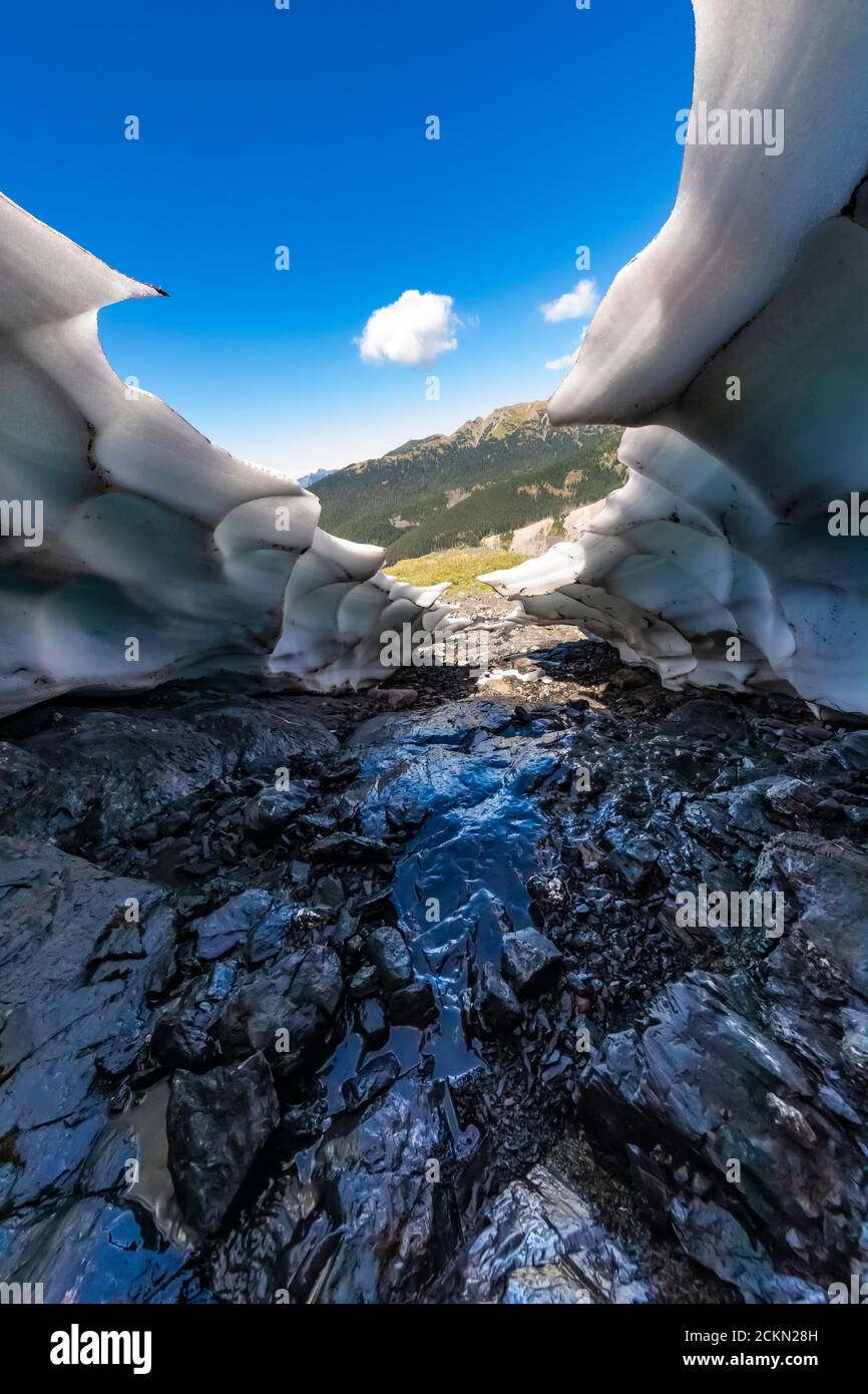 Il soffitto crollò sulla grotta di ghiaccio, creata dove il ruscello fonde la neve sotto un campo di neve, sulla Ridge Heliotrope sulle pendici del Monte Baker, Monte Baker-Snoqua Foto Stock