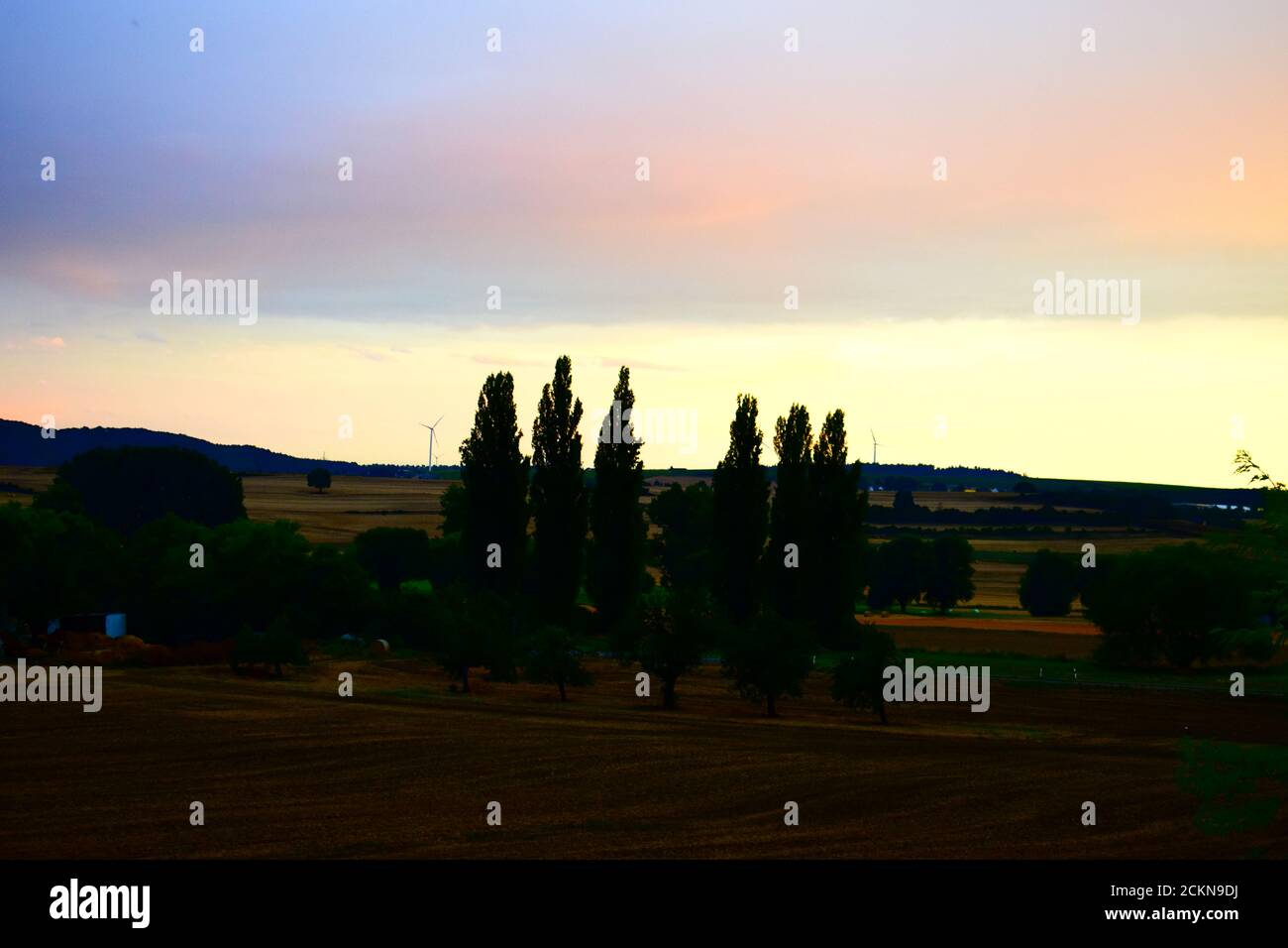 Luce in tarda serata nell'Eifel Foto Stock