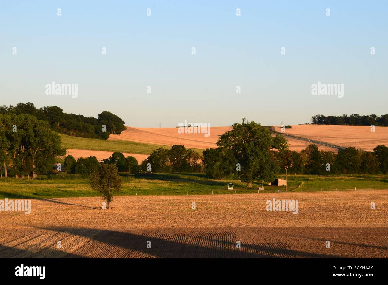 Luce in tarda serata nell'Eifel Foto Stock