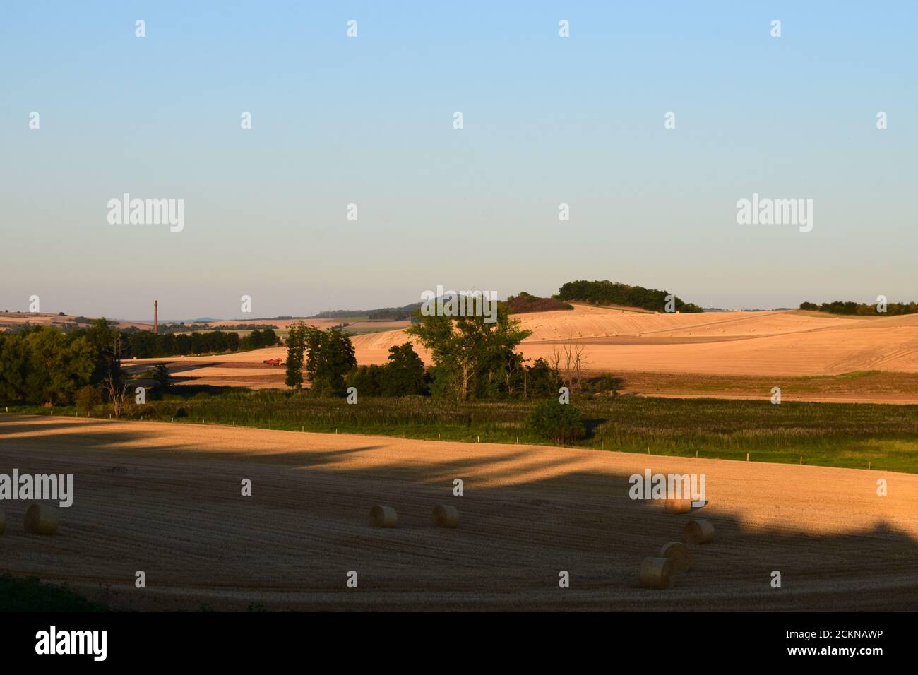 Luce in tarda serata nell'Eifel Foto Stock