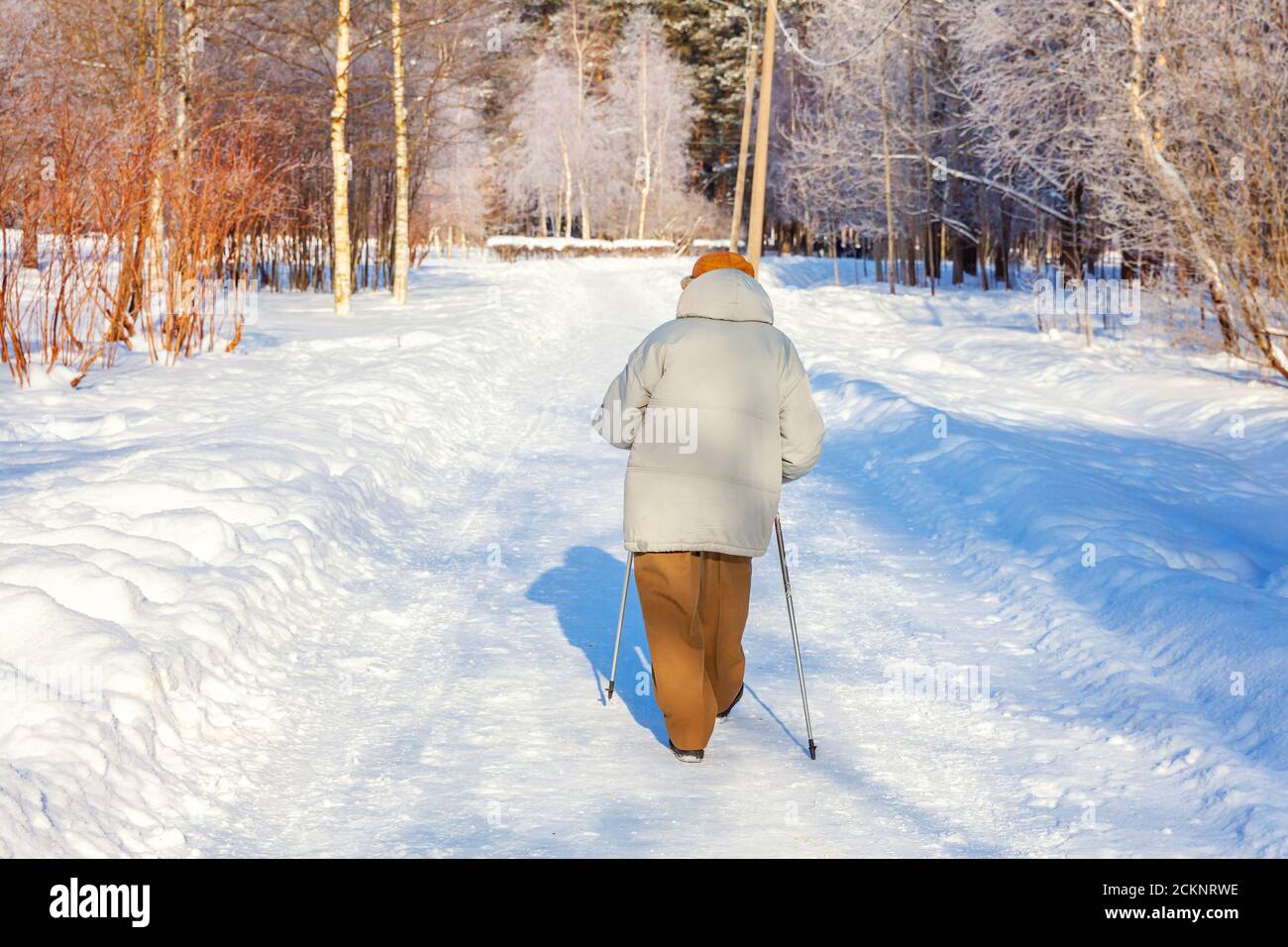 Donna adulta in inverno sport con bastoni per nordic walking sul paesaggio invernale città parco sfondo, vista posteriore. Donna matura che fa esercizio all'aperto. Concetto di stile di vita sano in inverno. Foto Stock