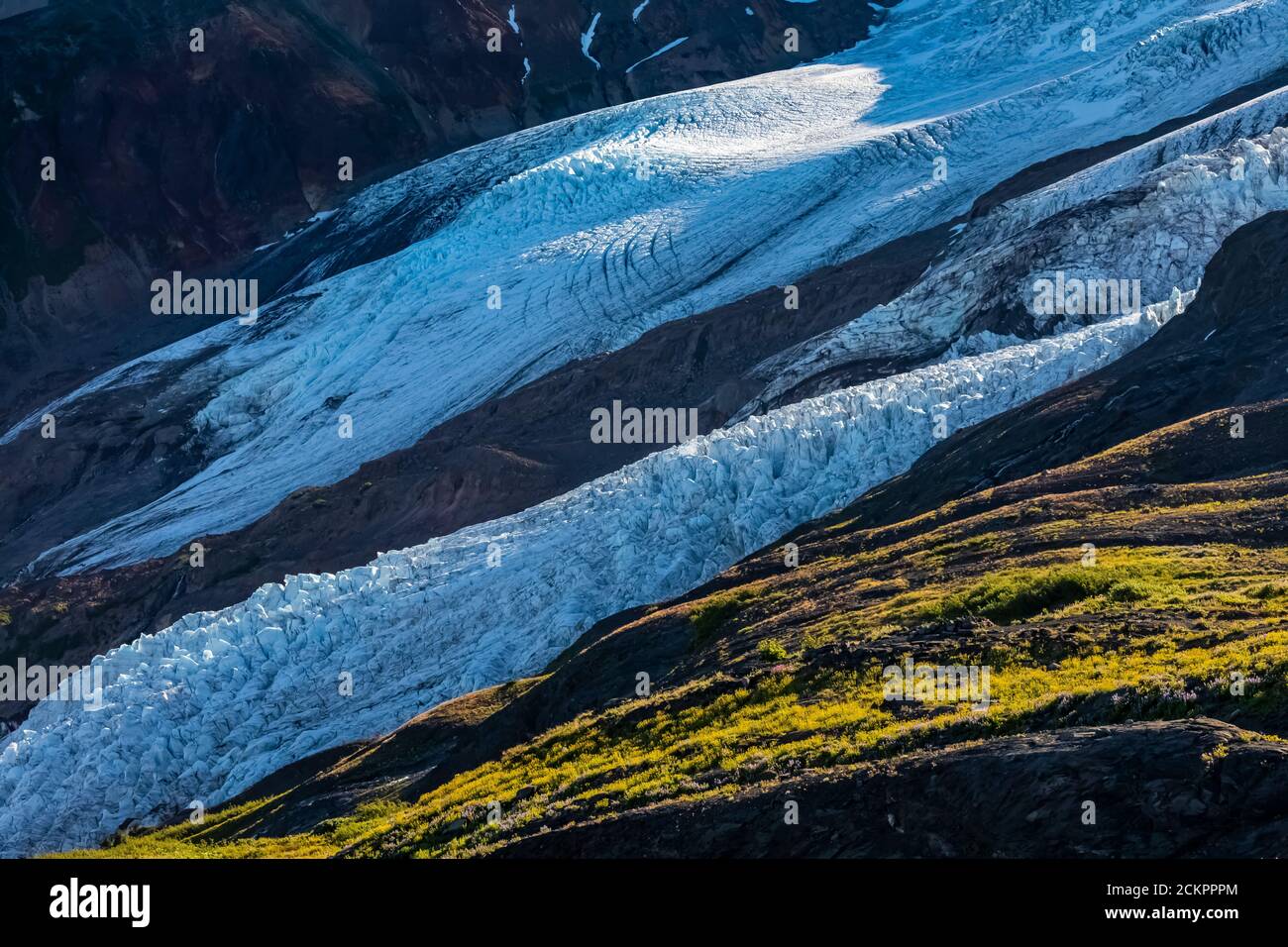 Coleman e Roosevelt Glaciers alla luce del mattino, vista da Heliotrope Ridge sotto Mount Baker, Mount Baker-Snoqualmie National Forest, Washington St Foto Stock