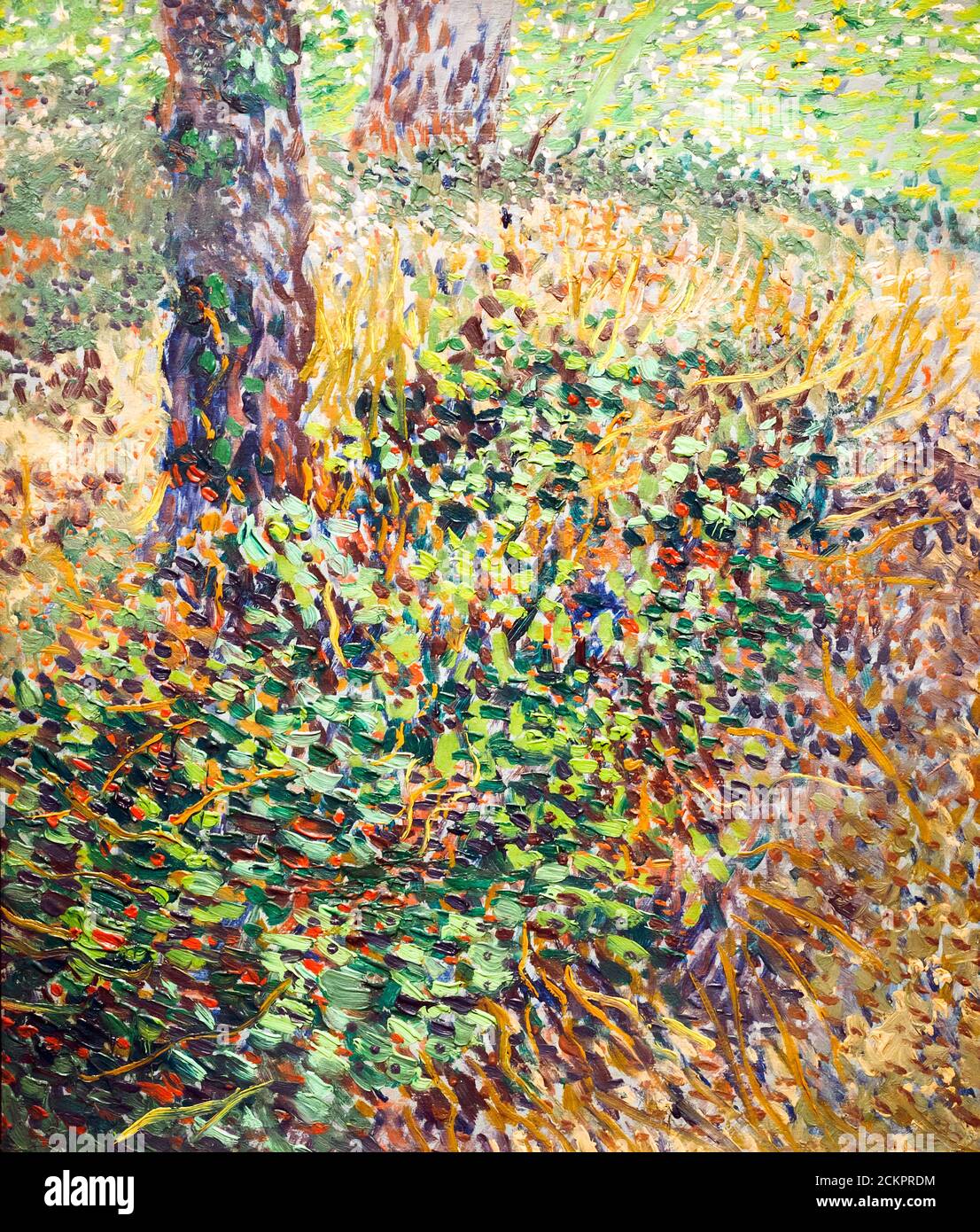 Sottobosco di Vincent van Gogh (1854-1890) olio su cartone, 1887 Foto Stock