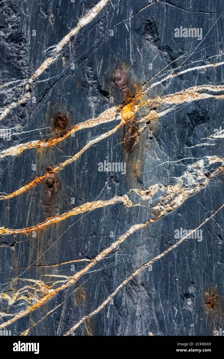 Vene in pietra con striature glaciali su Heliotrope Ridge sotto Mount Baker, Mount Baker-Snoqualmie National Forest, Washington state, USA Foto Stock