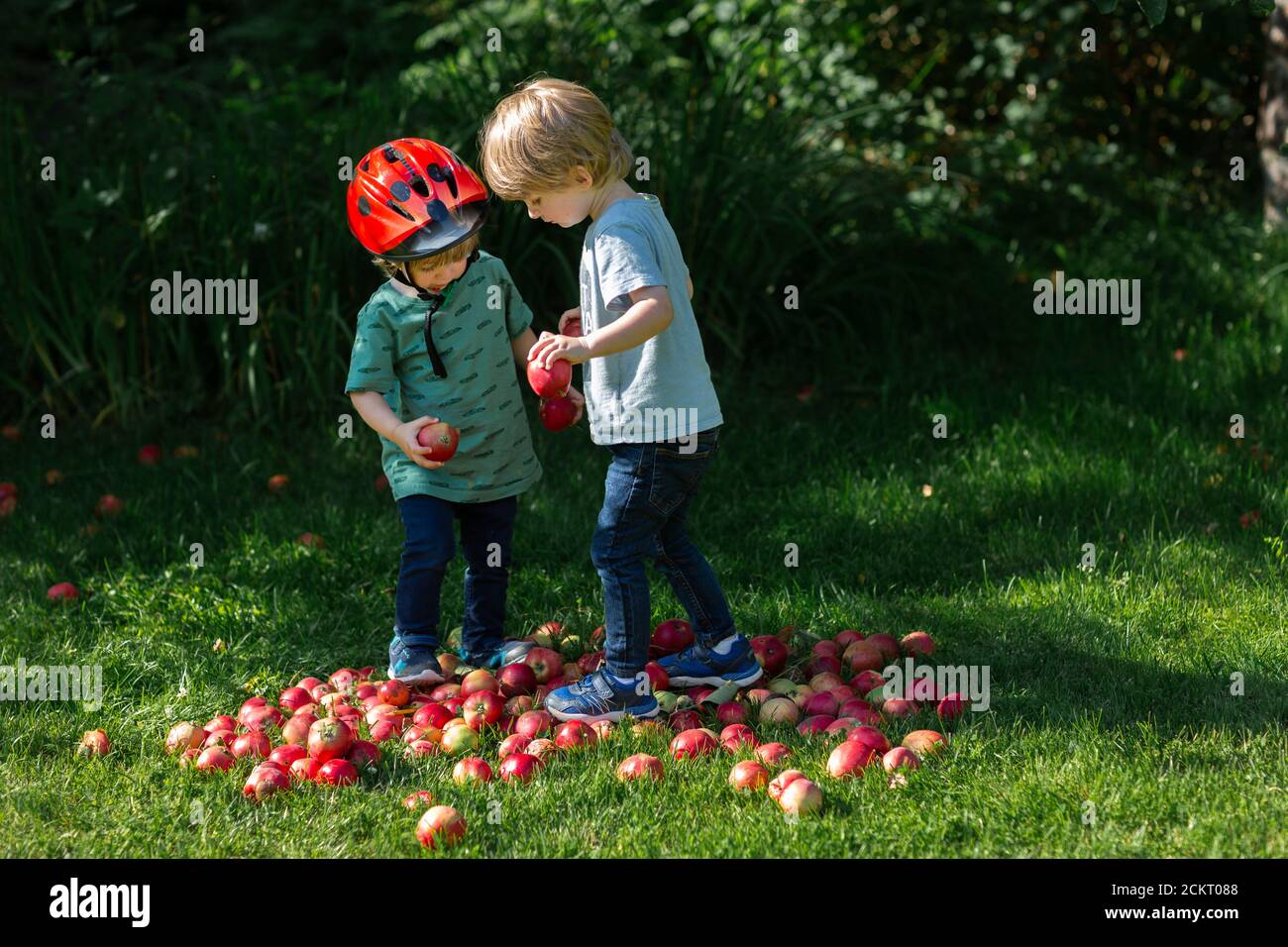 2 ragazzi che giocano in un mucchio di mele rosse Foto Stock