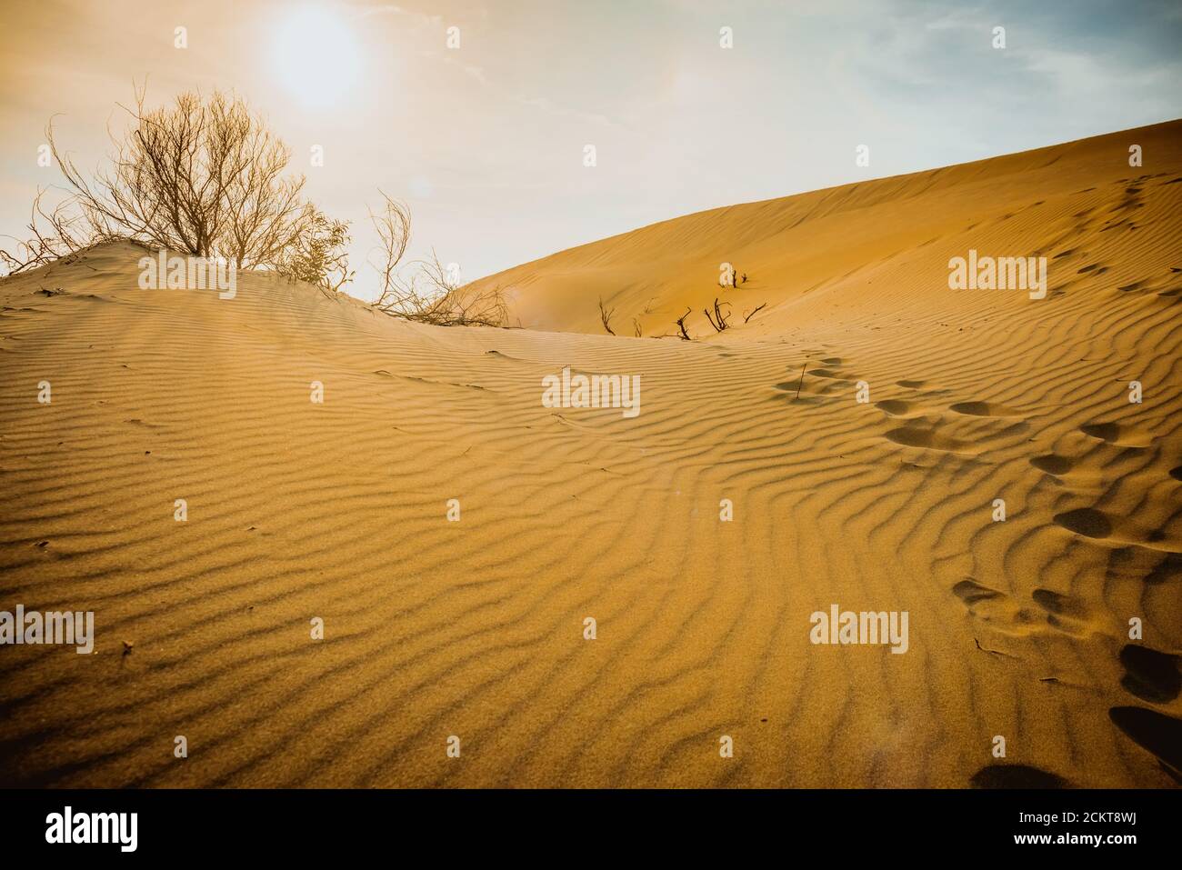 Sandy deserto arido sullo sfondo di un paesaggio Patara, Turchia Foto Stock