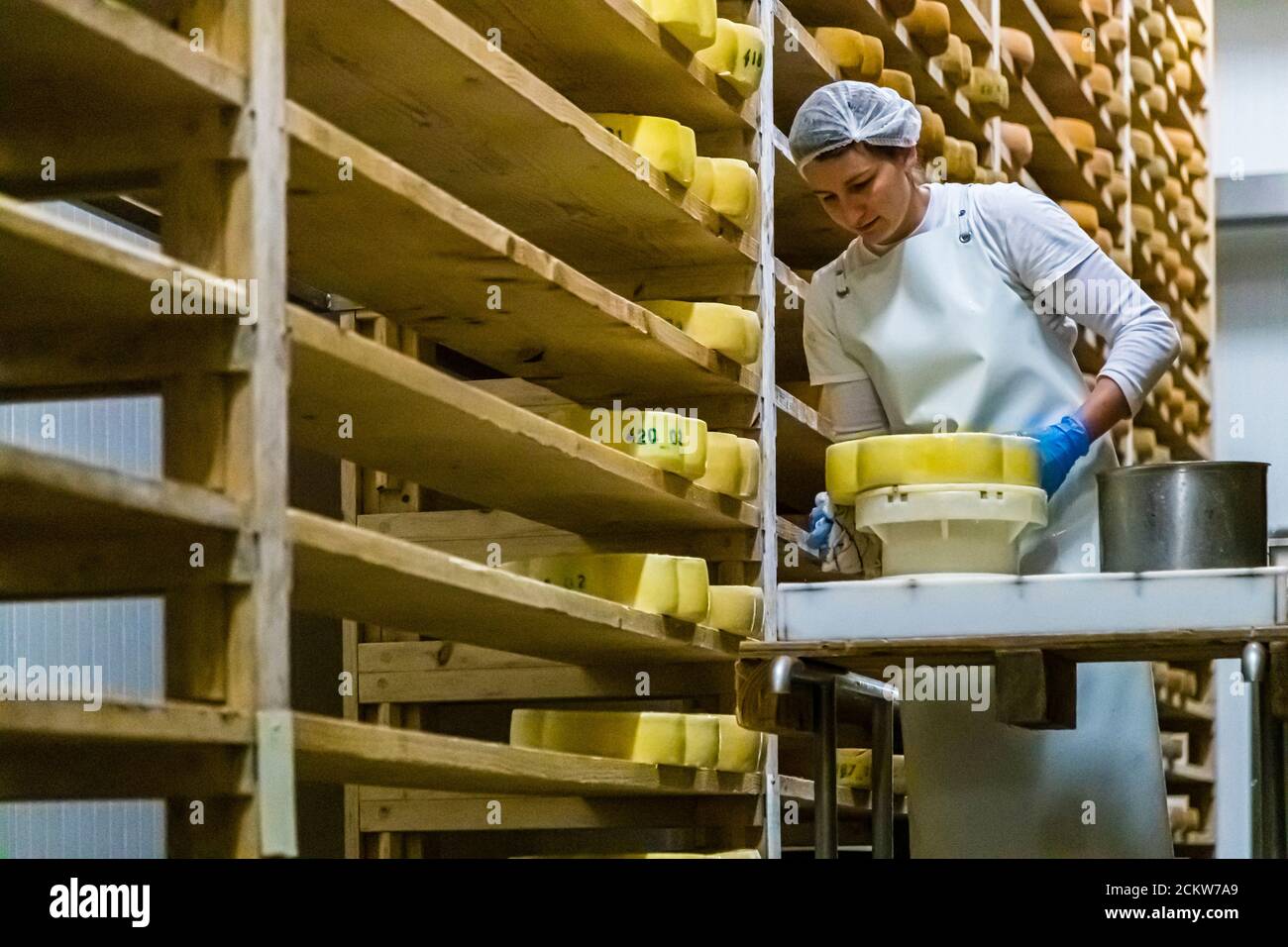 Una dipendente della Fruitière des Lacs vicino a Pontarlier nella regione francese della Borgogna-Franca Contea solleva una ruota di formaggio giovane, ricoperta di cera gialla e contrassegnata con il numero di lotto "420 01" dallo scaffale di legno, con un secchio di metallo vuoto pronto accanto a lei. Foto Stock