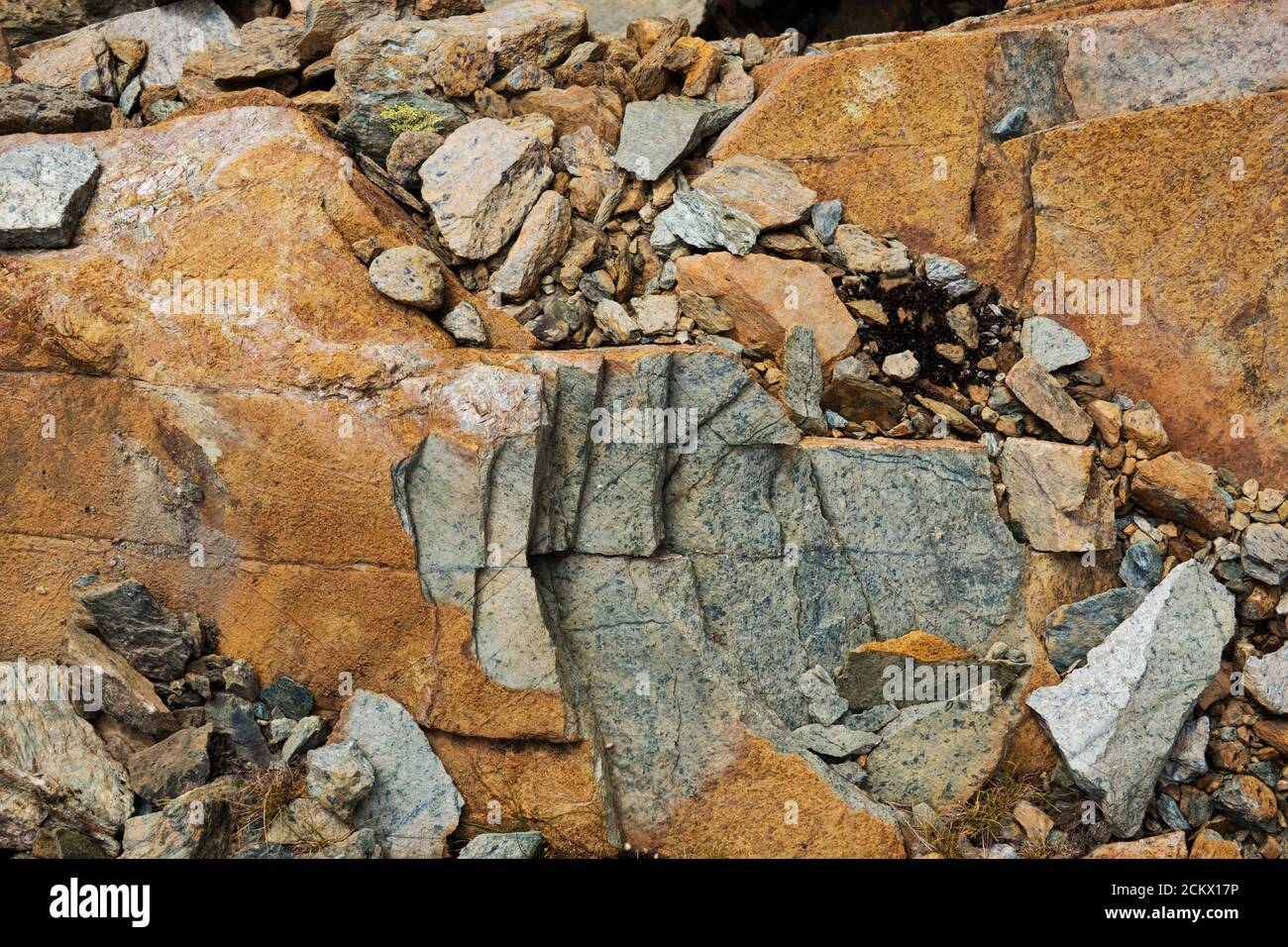 La roccia di Serpentina verde, uno strato sottile sull'esterno di colore rossastro a causa della formazione di ossido di ferro Foto Stock