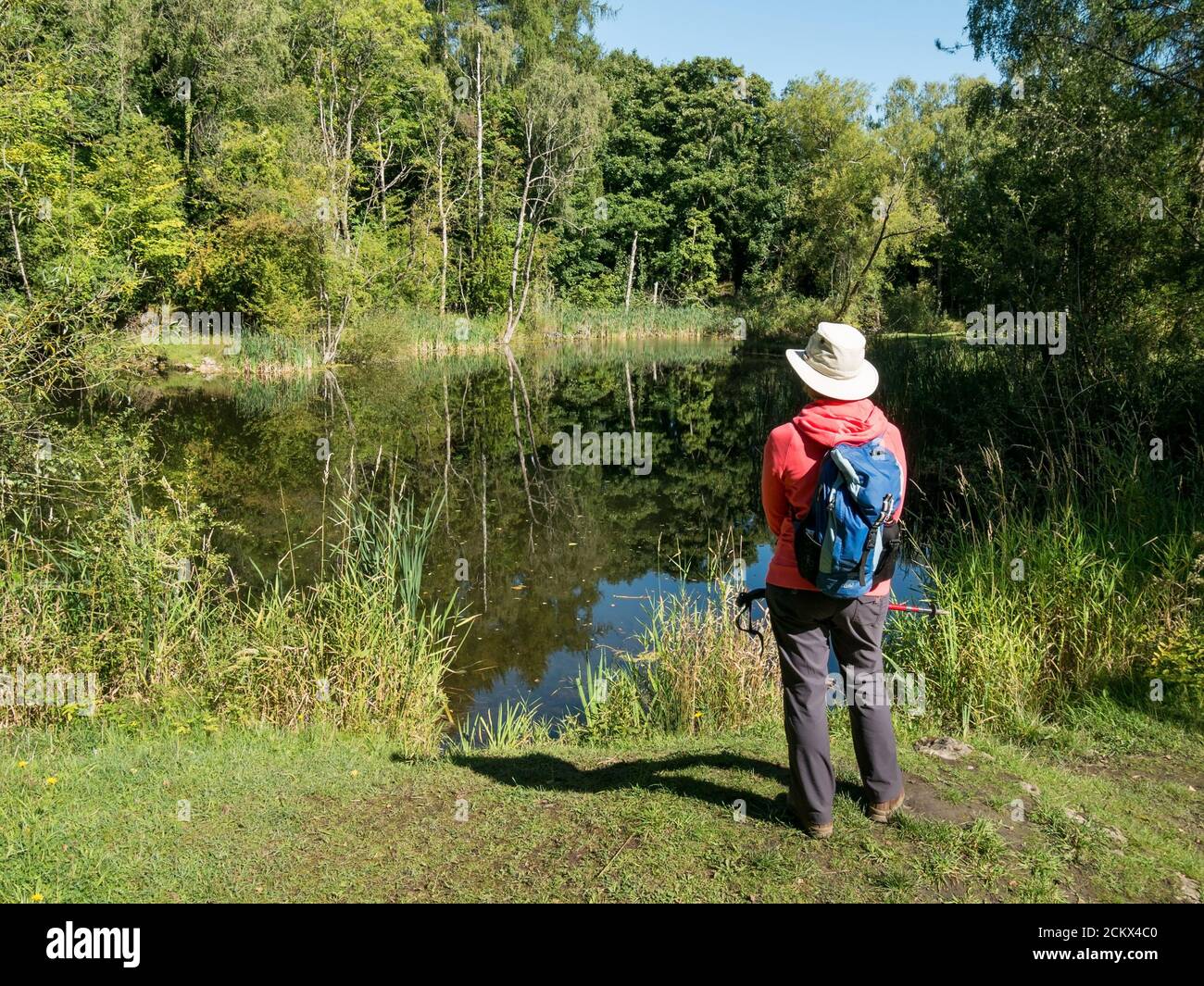 Donna in piedi da un piccolo lago calmo in una vecchia cava di lime circondata da alberi Ticknall Limeyards, Derbyshire, Inghilterra, UK Foto Stock