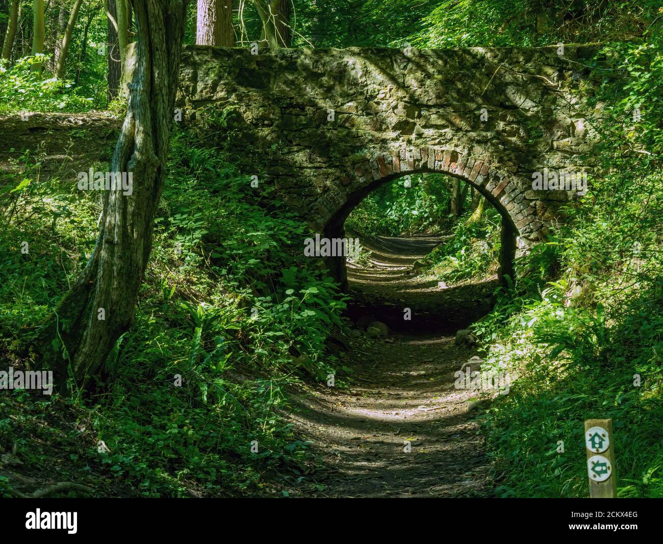 Piccolo, singolo arco di pietra e ponte di mattoni su vecchia pista in taglio di boschi, Ticknall Limeyards, Derbyshire, Inghilterra, Regno Unito. Foto Stock