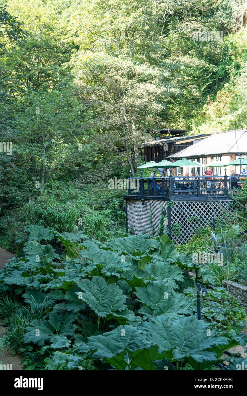 Shanklin Chine, Shanklin, Isola di Wight Foto Stock