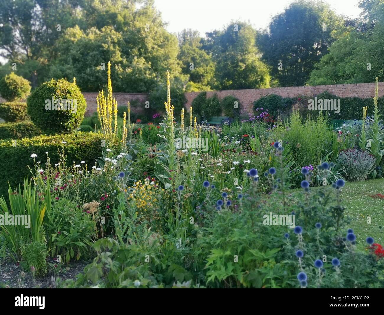 Bel giardino inglese murato con varie piante in aiuole a. crepuscolo Foto Stock