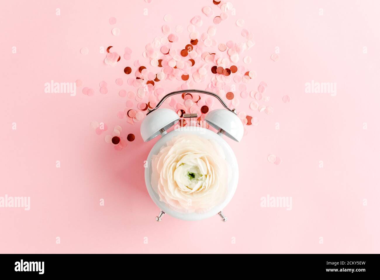 Composizione della vista dall'alto - Estate dal ranuncolo rosa e rose boccioli di fiori su sfondo rosa. Template femminile blog social media. Minimo Foto Stock