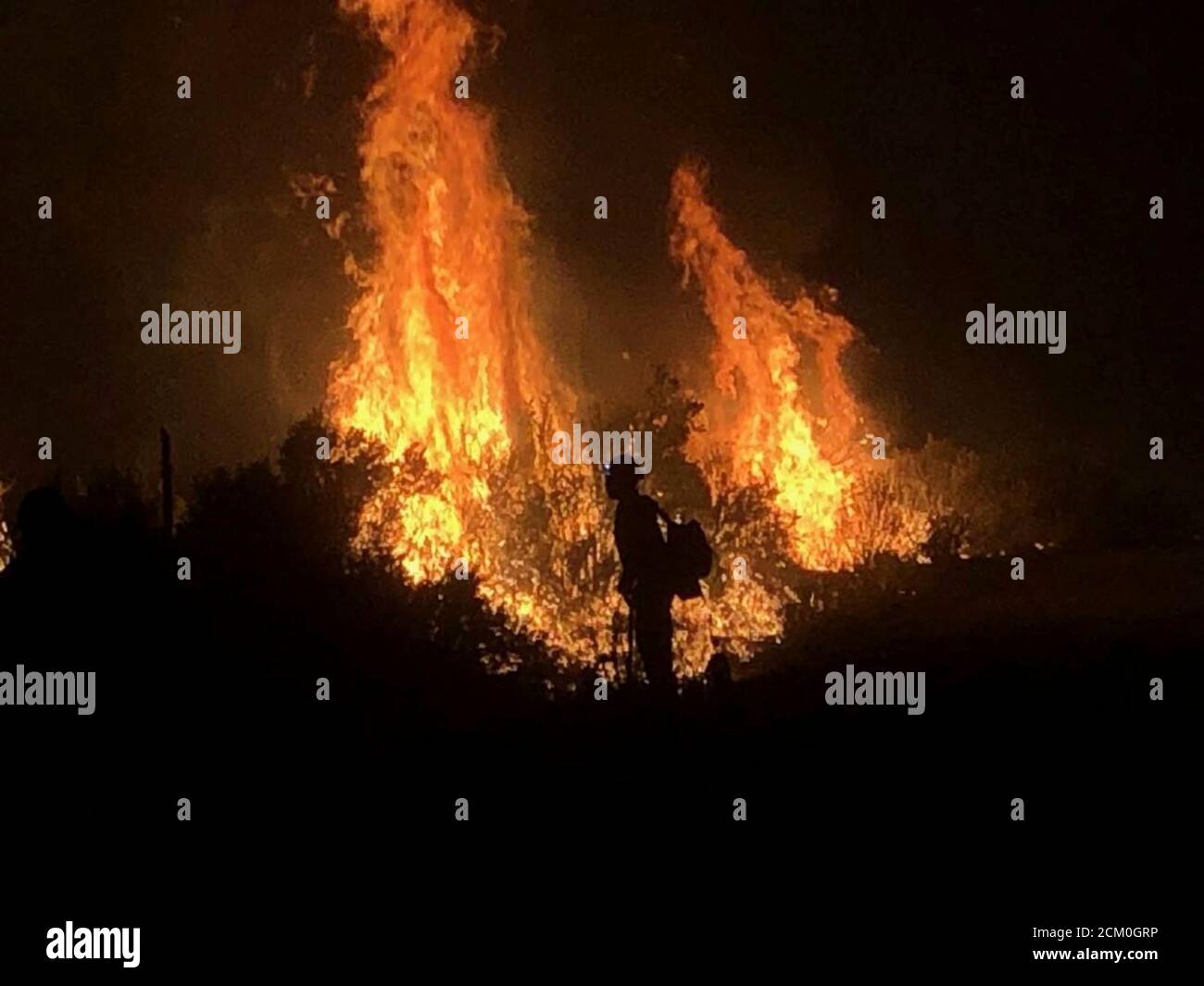 I vigili del fuoco lavorano per contenere il Pine Gulch Fire sulle pendenze occidentali durante le operazioni notturne 21 agosto 2020 vicino a Grand Junction, Colorado. Il fuoco selvatico è il più grande nella storia del Colorado che distrugge decine di migliaia di ranch e habitat naturali. Foto Stock