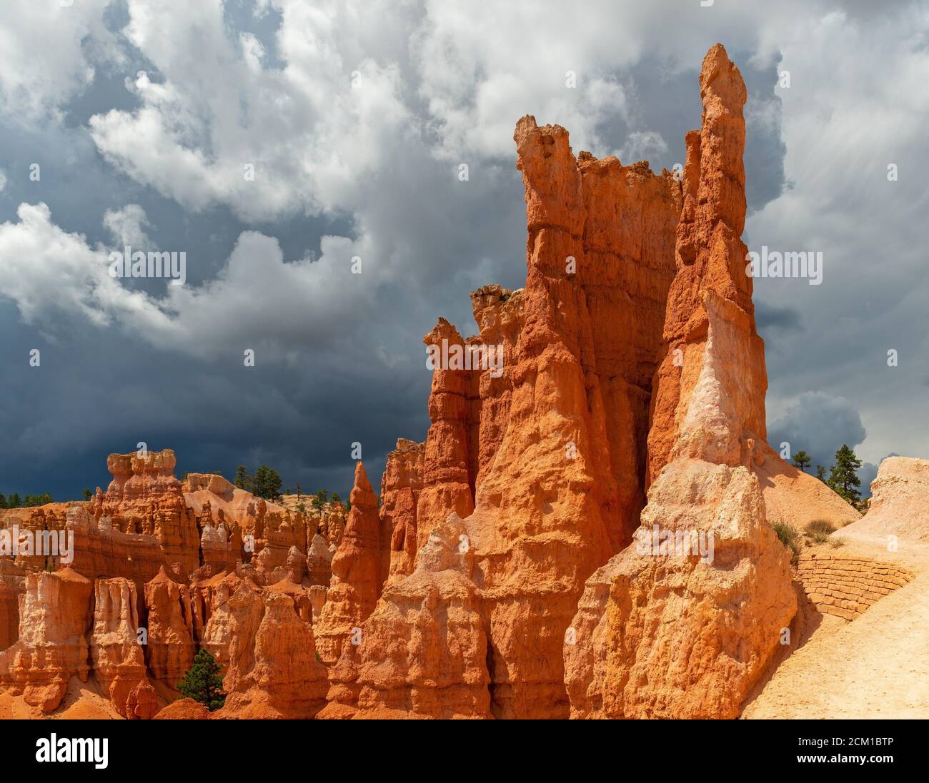 Thunderstorm in arrivo nel parco nazionale del Bryce Canyon con una formazione rocciosa di Hoodoo illuminata dal sole, Utah, Stati Uniti d'America (USA). Foto Stock