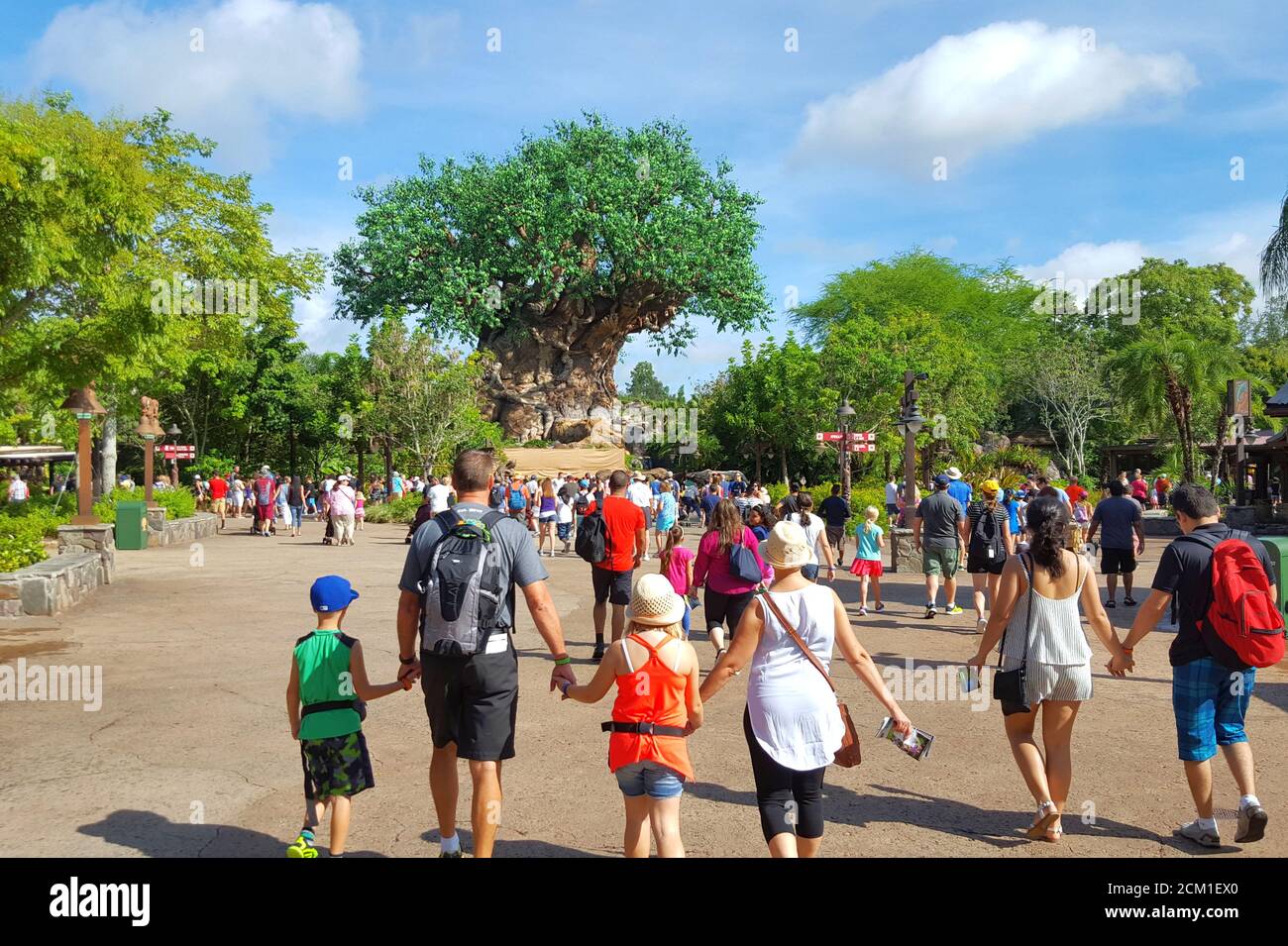 I patrons di Disney World si dirigono all'albero della vita nel Regno degli Animali, nell'area di Discovery Island, Orlando, Florida, Stati Uniti Foto Stock