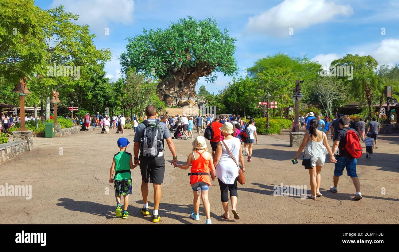 I patrons di Disney World si dirigono all'albero della vita nel Regno degli Animali, nell'area di Discovery Island, Orlando, Florida, Stati Uniti Foto Stock