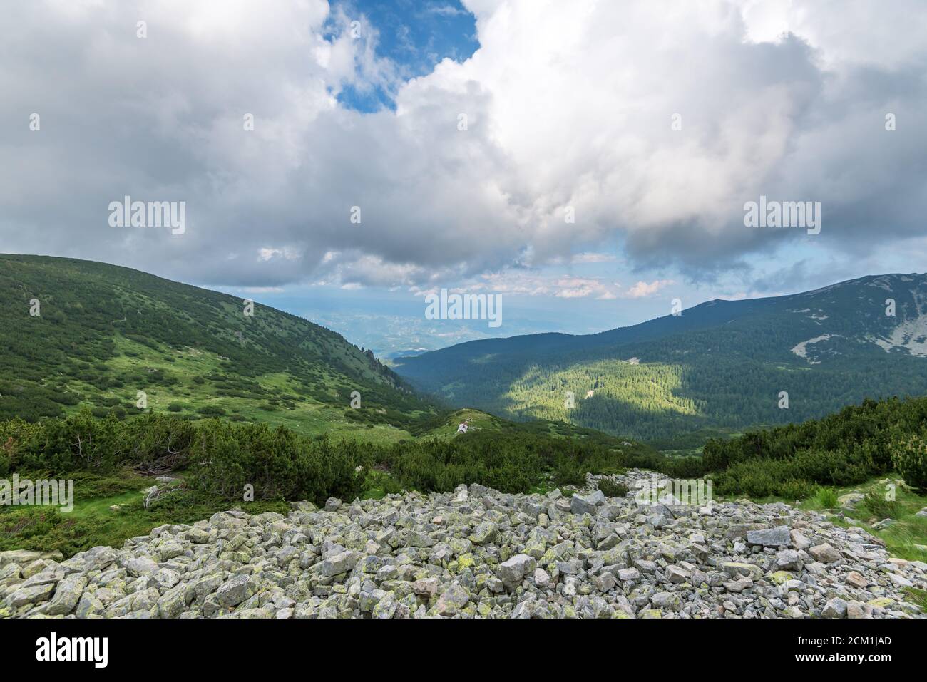 Paesaggio paesaggio estivo, montagna Pirin, Bulgaria. Foto Stock