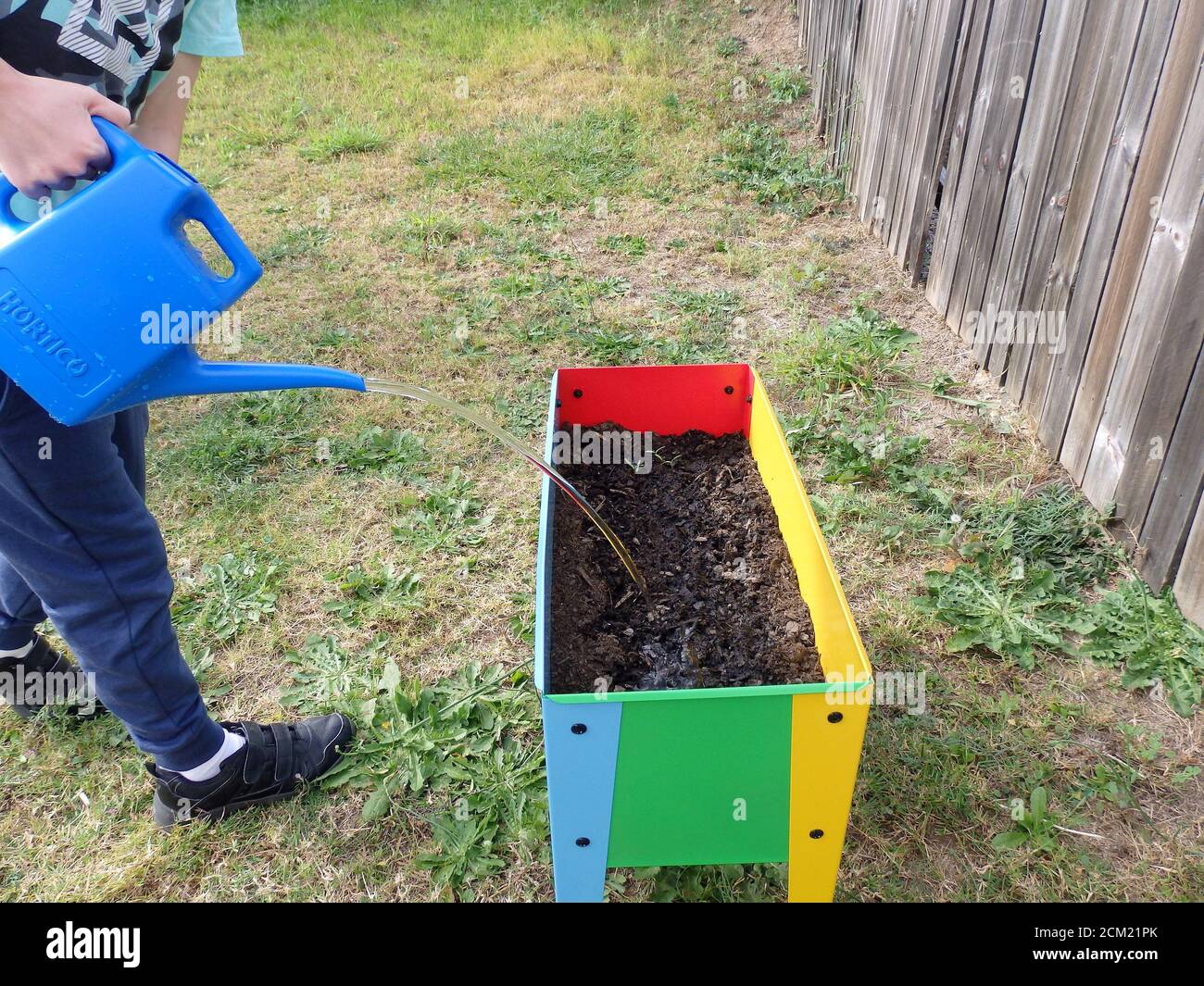 Un bambino inacqua una nuova scatola della piantatrice dopo aver piantato i semi. Foto Stock