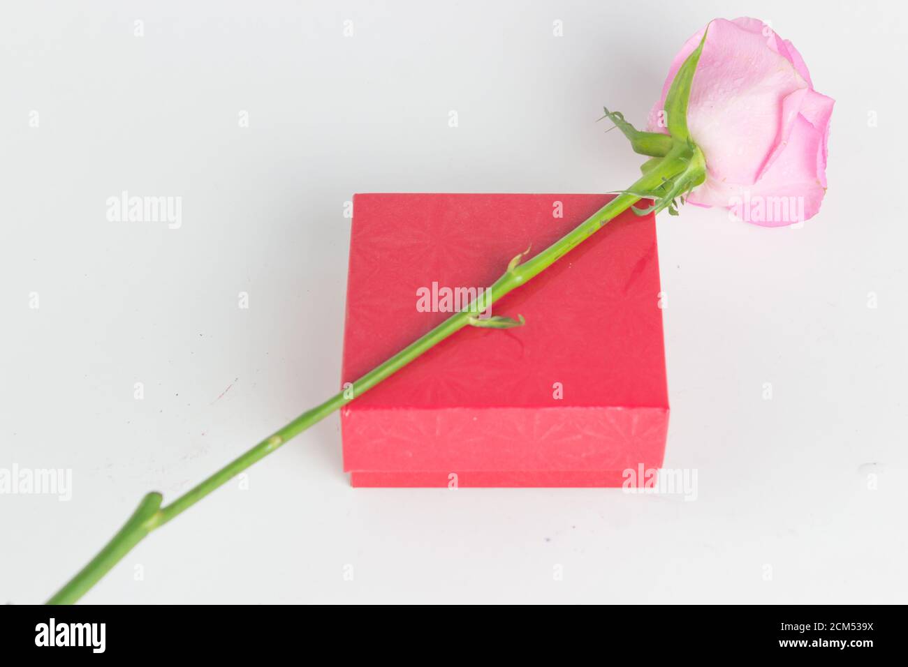confezione regalo rossa per amore e romanticismo con rosa Foto Stock