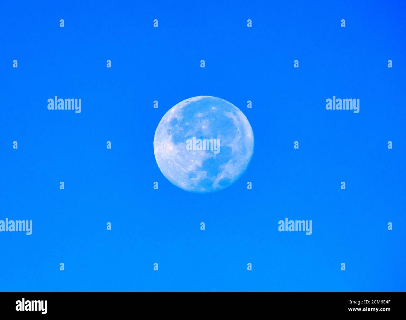 Luna piena nel cielo del mattino Foto Stock