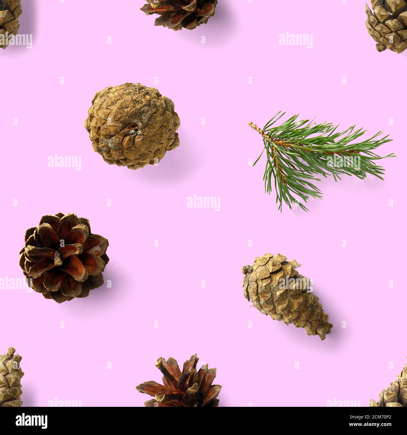 Natale senza cuciture con coni di pino sughero vino e lingonberry. Modello natale senza cuciture su uno sfondo rosa. Collage fotografico realistico. Foto Stock